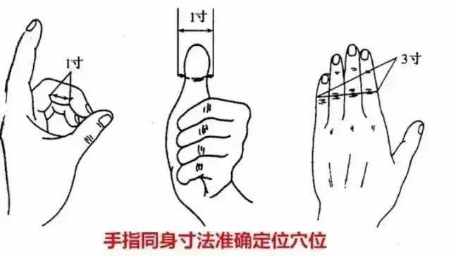 a55c3861bd564663ac2489597823c364.jpeg