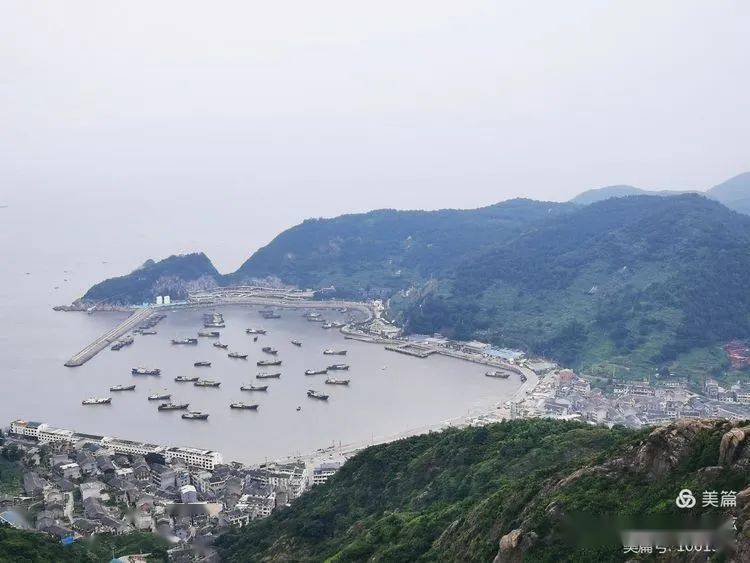 南金乡人口_人口普查(3)
