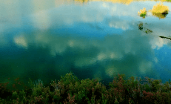 全国百强县排名2020_2020全国“百强县”名单重磅出炉:西昌第75位,四川唯