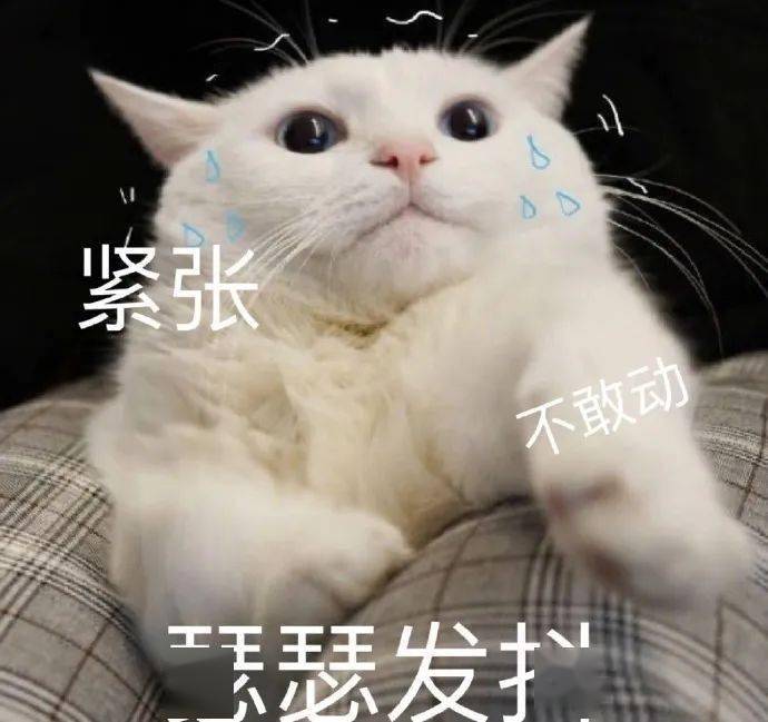 95811537af424b0980c1ae6cebb67de2.jpeg