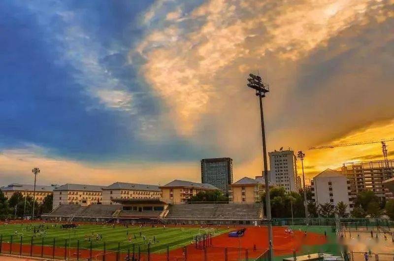 专业|世界联通：对外经济贸易大学经贸先锋