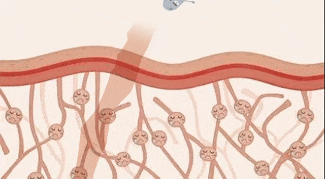 640_354gif 动态图 动图