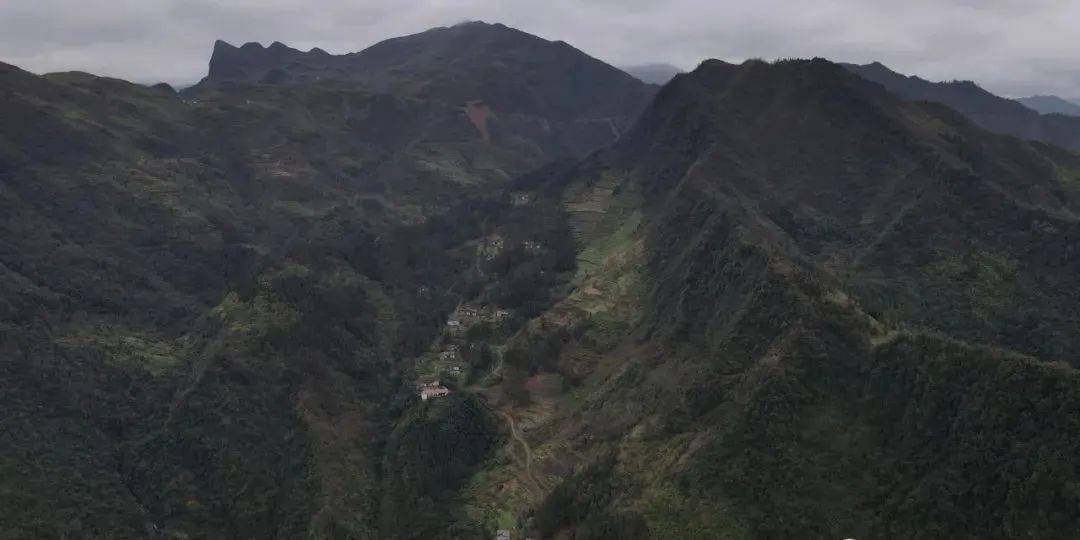 航拍国家级产业强镇杉树!这里是离镇雄最远的乡镇