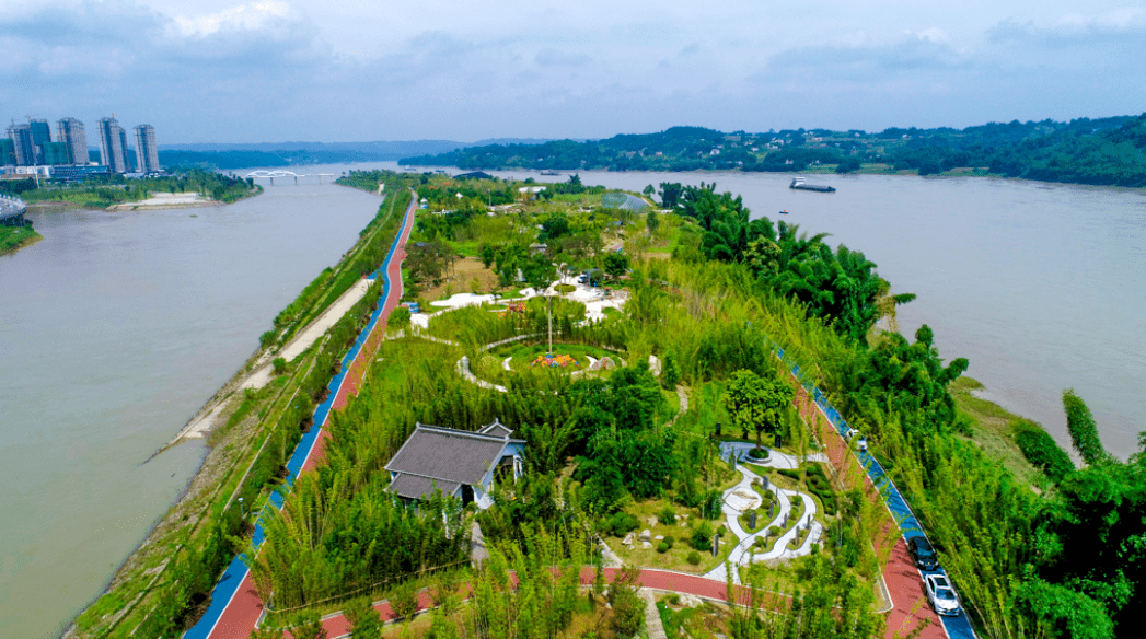 高桥竹村 还有这些地方 也是宜宾竹林中的美丽风景线 长江竹岛