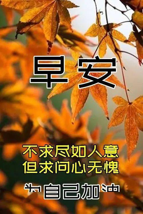 唯美冬天早安问候祝福风景图片带字温馨,冬日漂亮的风景早上好图片带