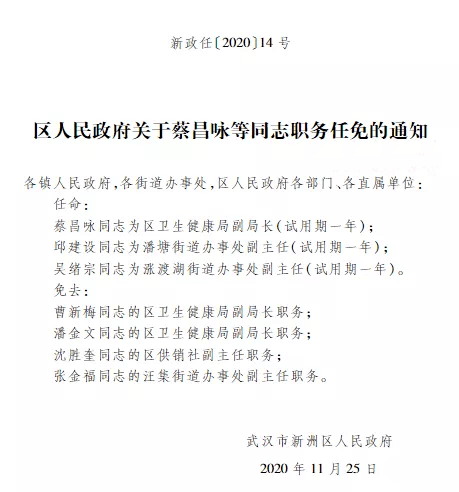 新洲区最新人事任免