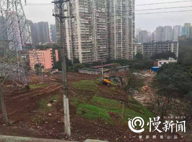 社区环境怎么变才更好？石桥铺街道民调变现实