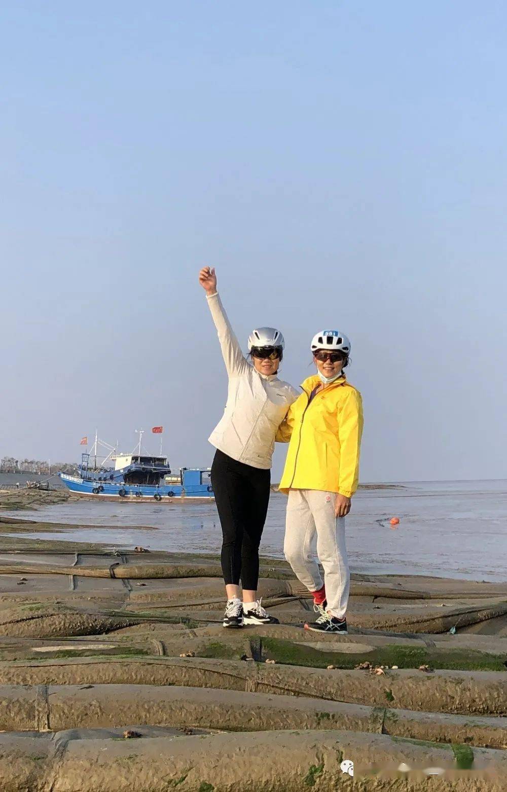 铁硬度排行_柯文哲谈＂韩流＂现象:铁韩粉硬度还是很高的