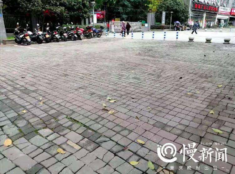 社区环境怎么变才更好？石桥铺街道民调变现实