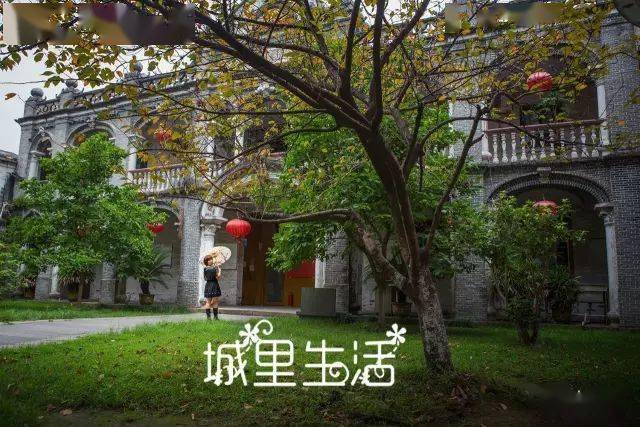 金乡区人口_人口普查