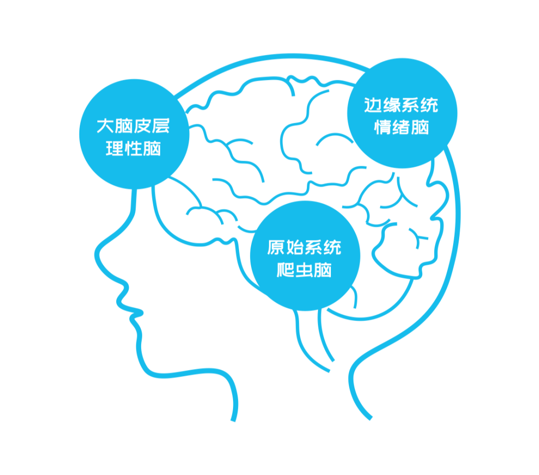 gdp形象比喻_交通运输被形象地比喻为经济发展的(2)