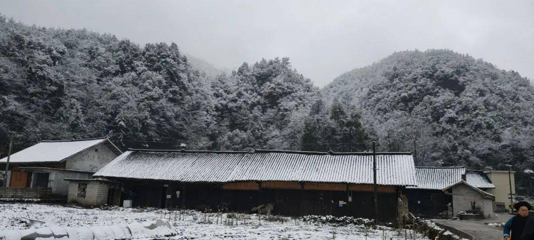 下雪了!下雪了!花垣今冬第一场雪来了!