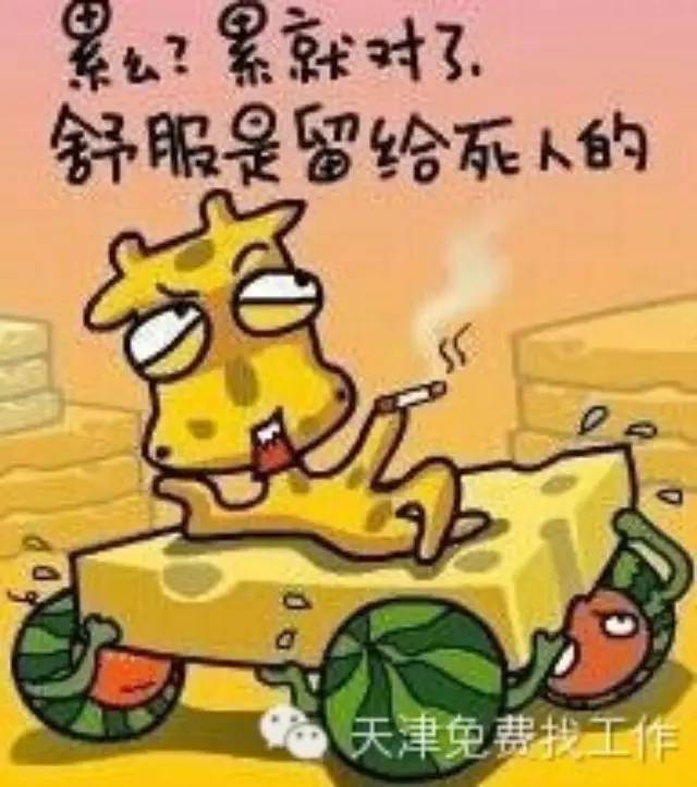 累就对了,舒服是留给死人的!