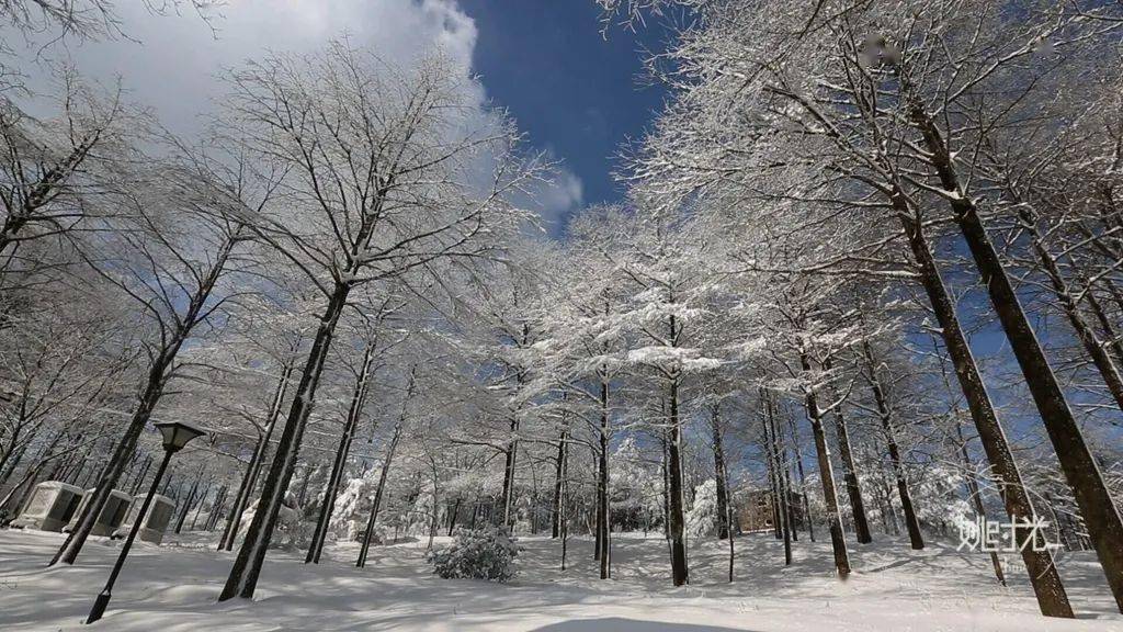 湖州下雪了!余姚的雪景也奔着你来了!