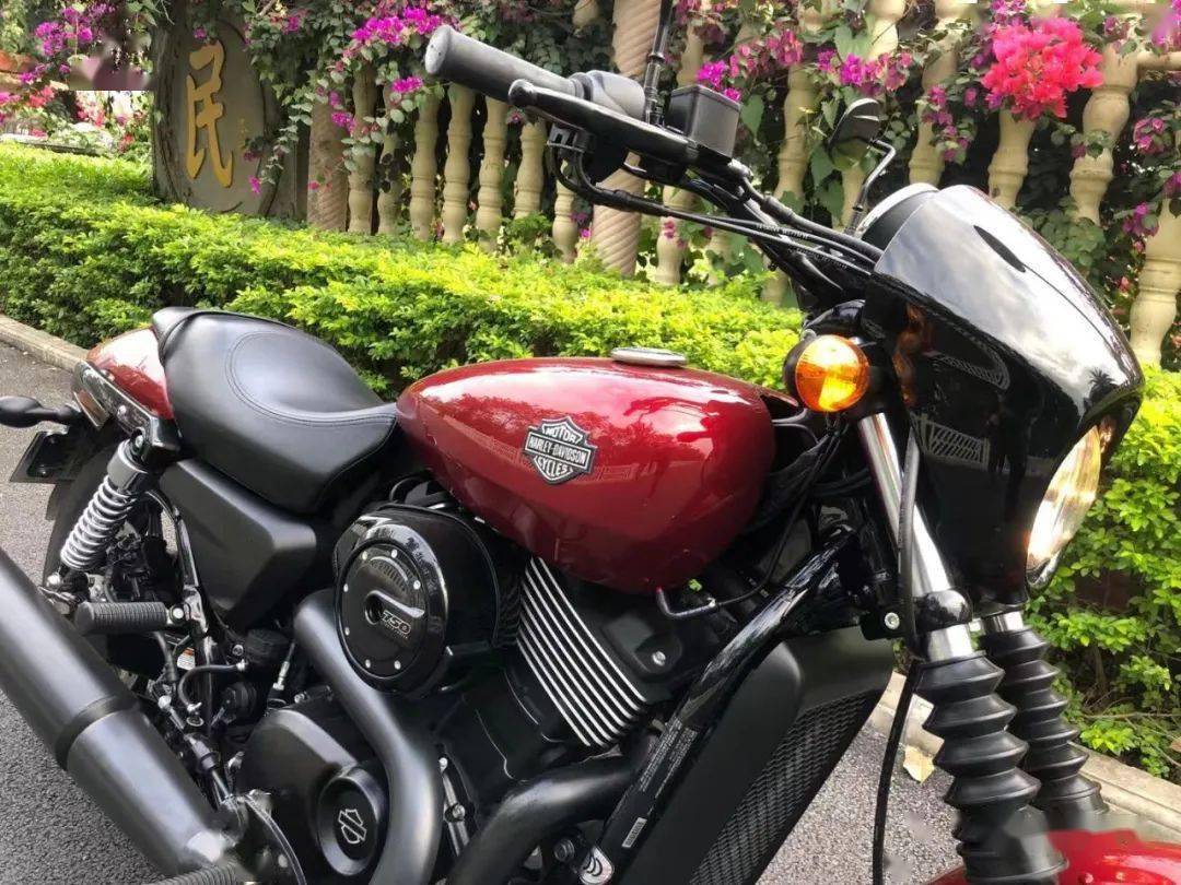 哈雷street750cc销售