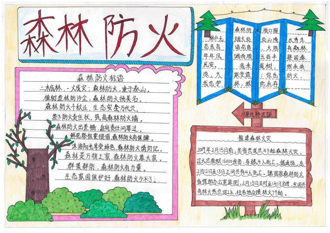 护林防火记心间森林防火进校园