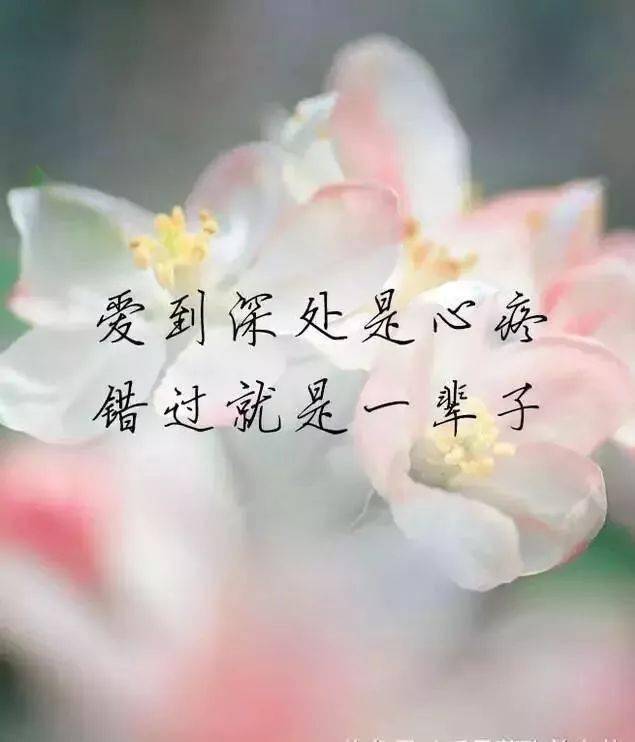 最近微信很火的个性签名短句,点击率超高!