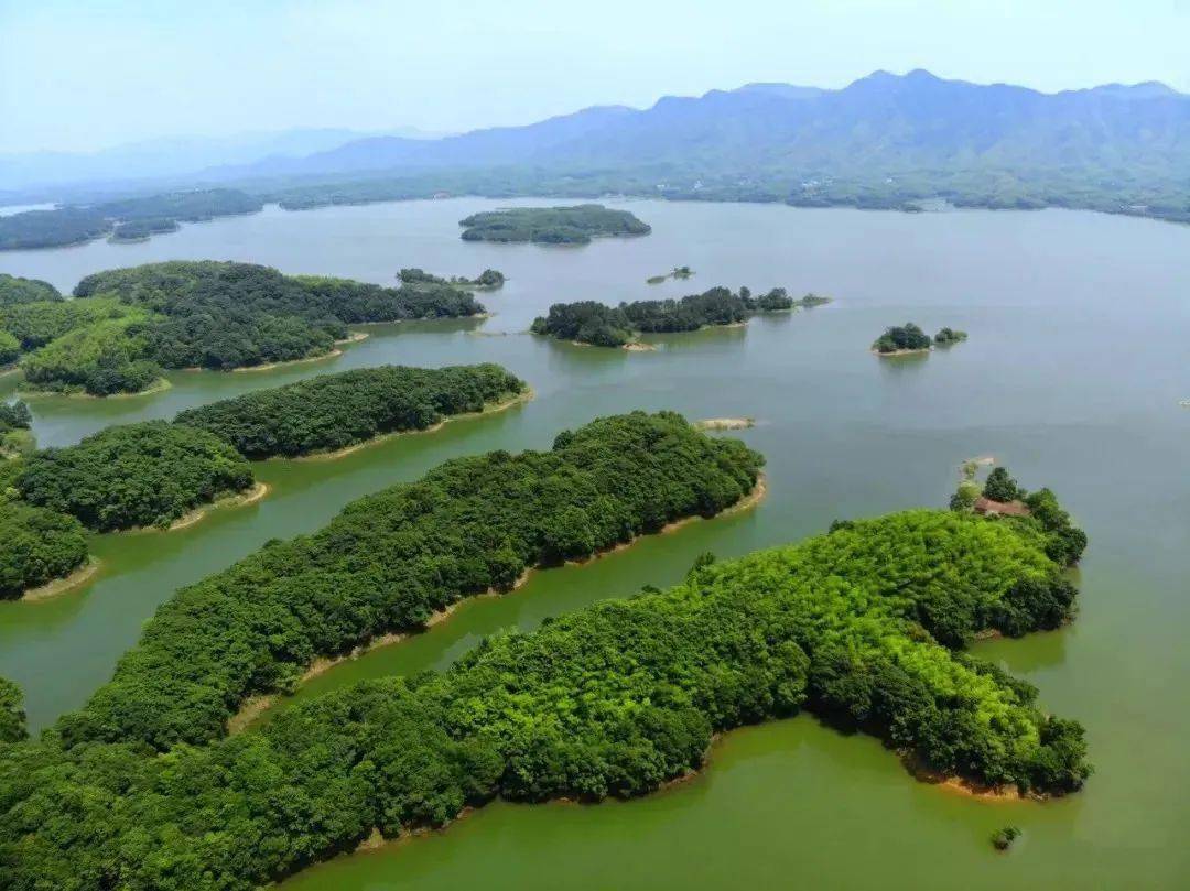 罗田县九资河镇gdp_罗田县九资河镇地图(3)