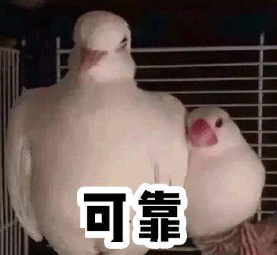 嫡长孙 肉 玩家文档