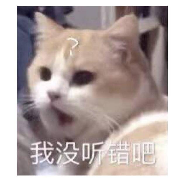 喵不可言大结局了吗 05bb0df0db954268bf2f556d9e97aba7.jpeg