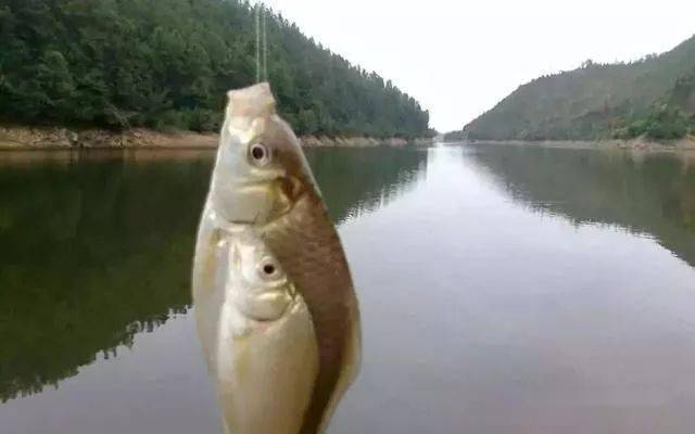 184b324bb8ba441bb03010a3ee40470b.jpeg