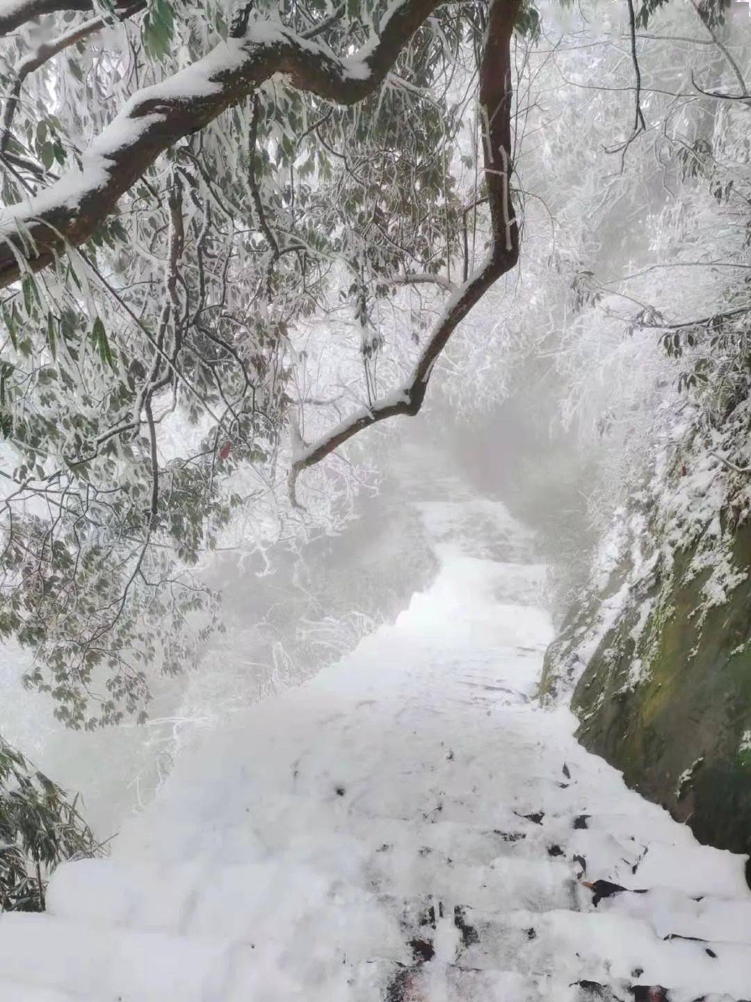 雪落雾中山