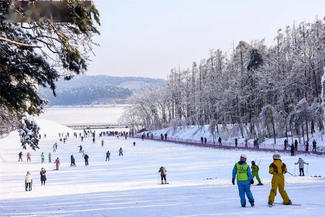 净月潭的雪景美成画卷!_手机搜狐网