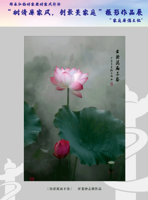 做好"家"文章, 以廉洁和谐之家教家风促成崇廉向善民风社风