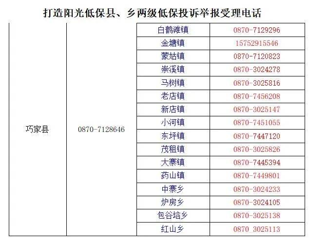 电白电城2020人口有多少_广东茂名电白电城红灯(3)