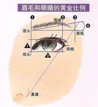 流行的韩式平眉画法教程快收了吧