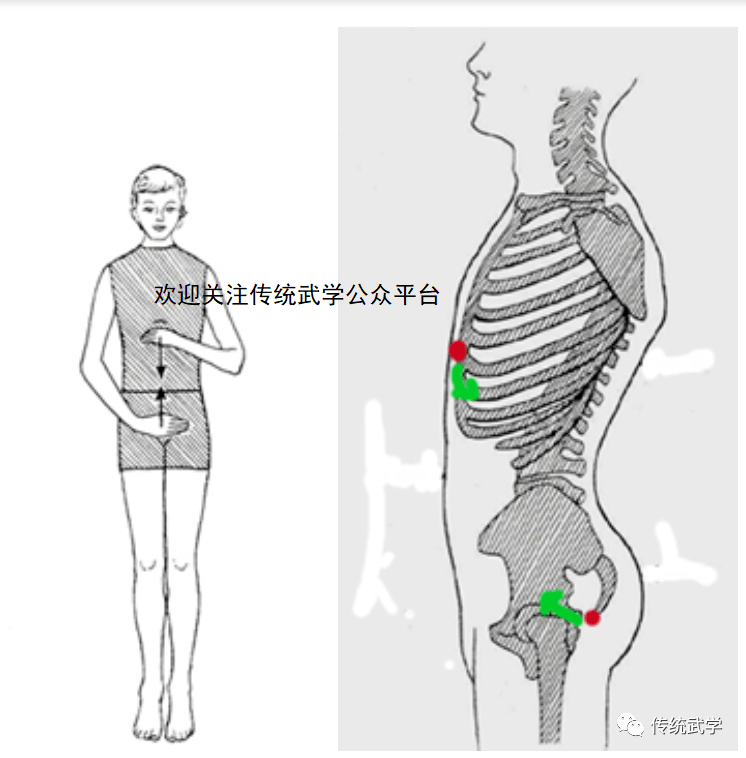 宁传十手拳 不传一手胯——太极拳之松胯