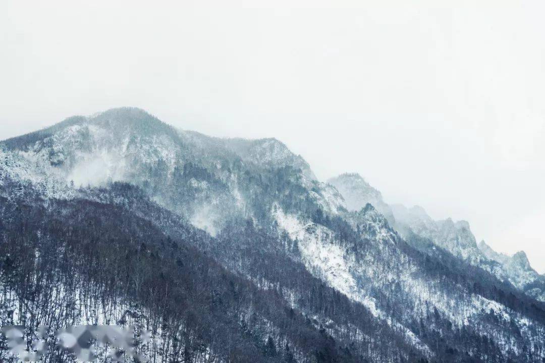 公什么司成语_成语故事简笔画(2)