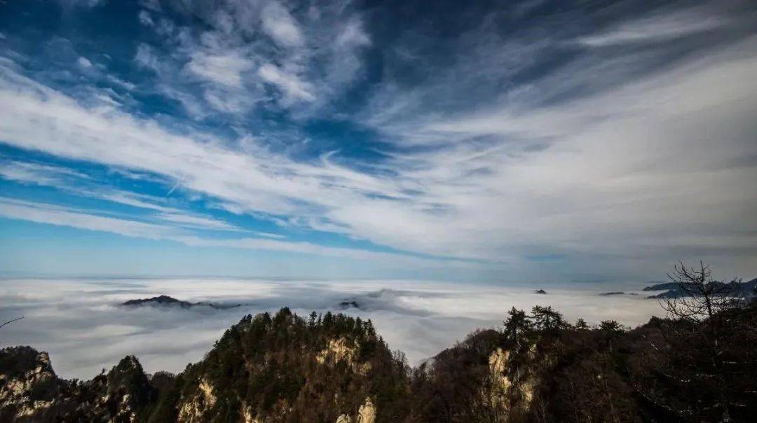 森林繁茂万花山是秦岭的一部分当时只道是寻常,登山亦如此