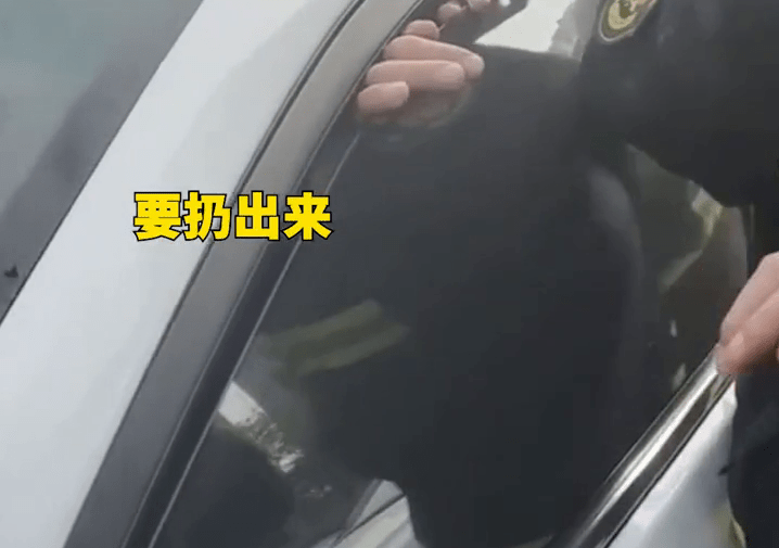 a81e461769bf42fc9dacb6be2d2a7924.png