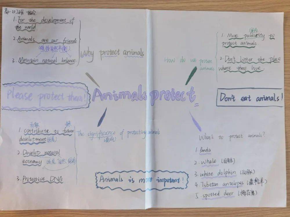 动物保护我们一起努力高一英语阅读节及思维导图绘制大赛