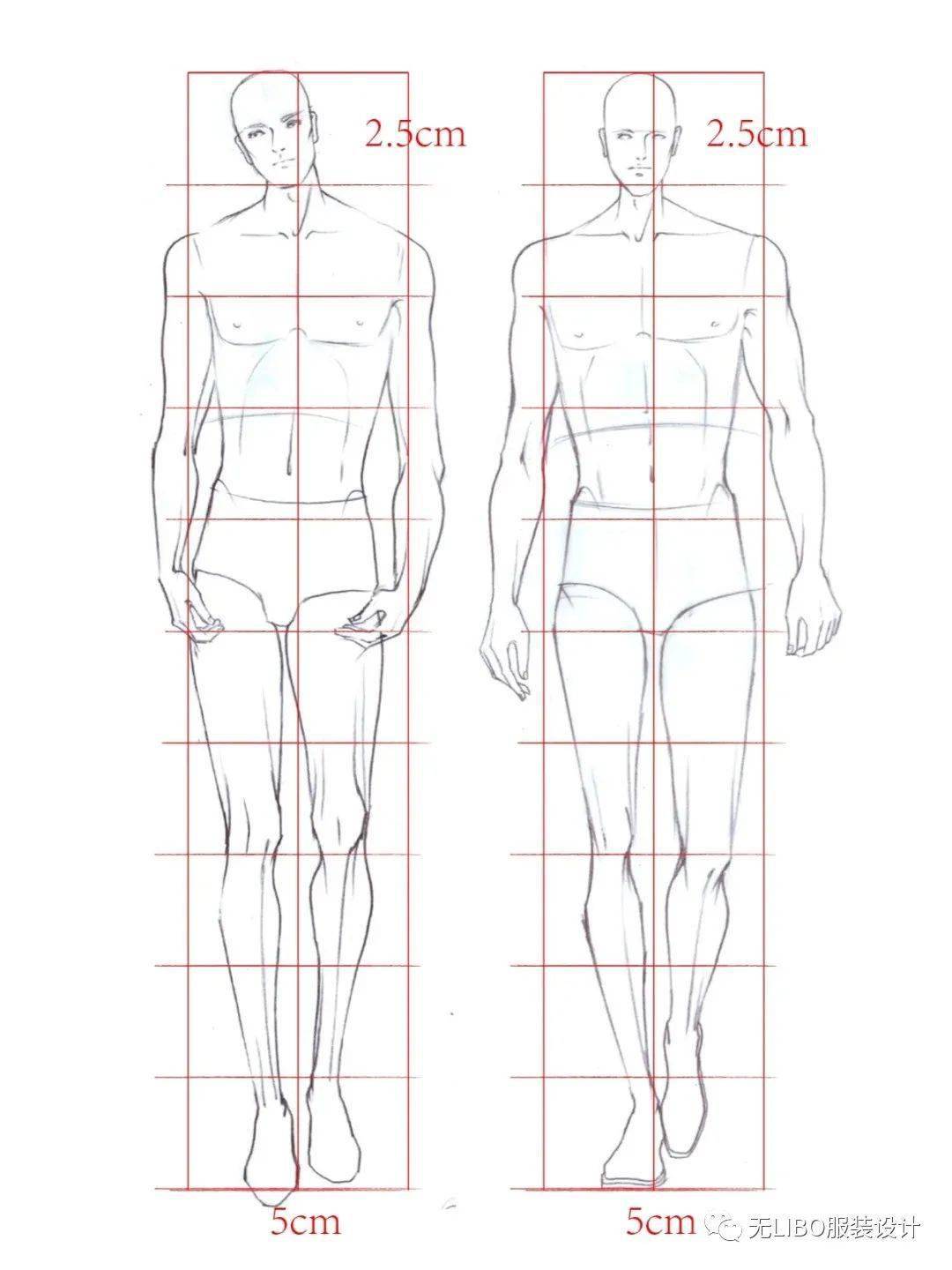 男女装人体线稿精选模版素材附绘制教程