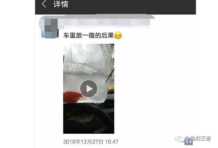 养鱼科普