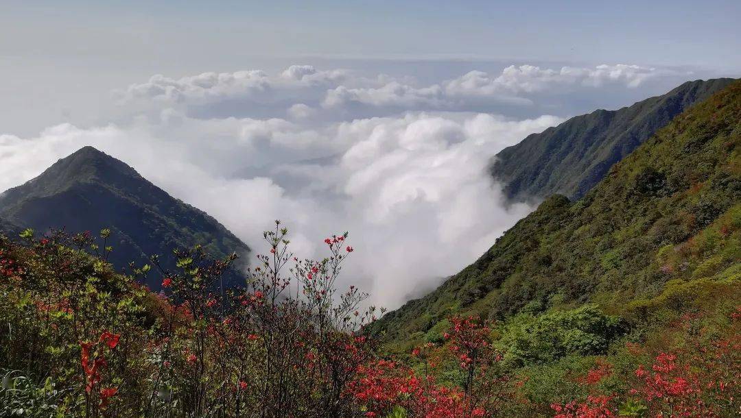 湖南啥山出名 c1368796d571419395fdc44bf5a5297f.jpeg