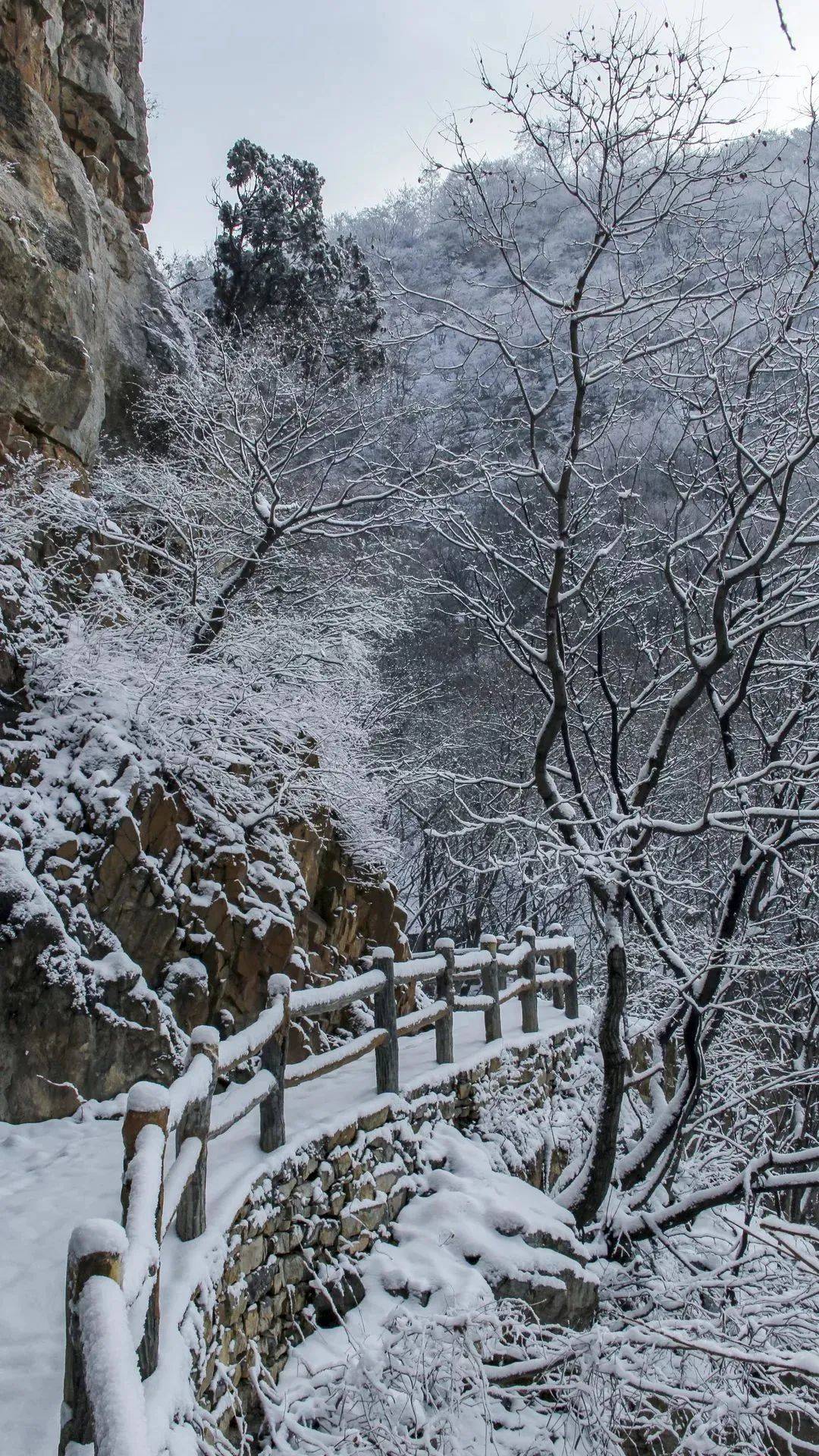 这个冬天,来感受一把初雪后山景的浪漫!