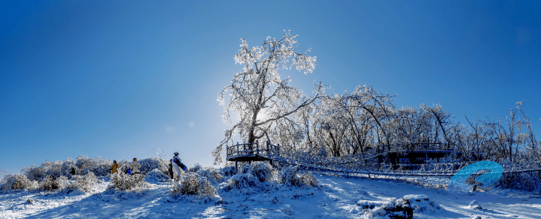 吉林市的雪景拿一张当壁纸去吧