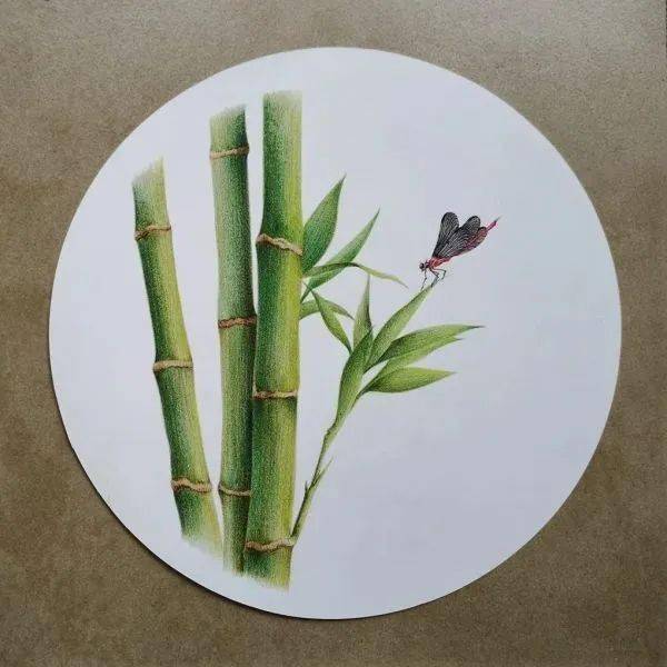 彩铅风景画教程 | 向上的竹子画法步骤,彩铅风景画简单漂亮