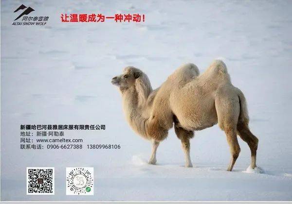 头条新疆天然驼绒滑雪服被冬奥会定制授权使用