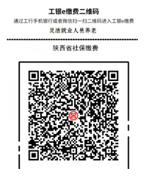 安康市人口有多少人口(2)