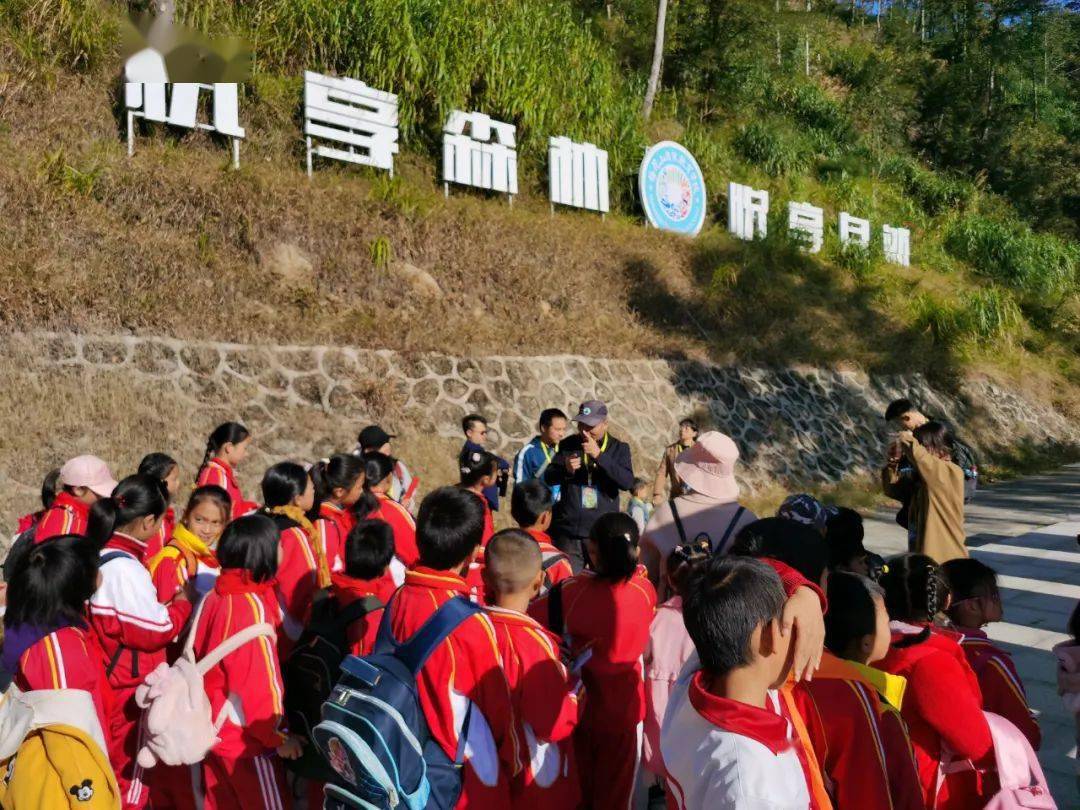 龙岩地质公园举办中小学生研学营助力创建世界地质公园