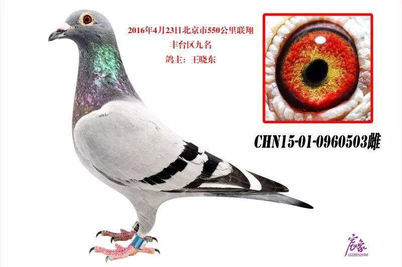 7cd7a682643c4156a723d0ed1b44c768.jpeg