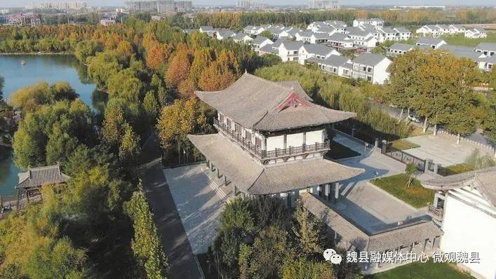 《打造古韵梨城建设绿美魏州——魏县创建国家森林城市工作纪实》