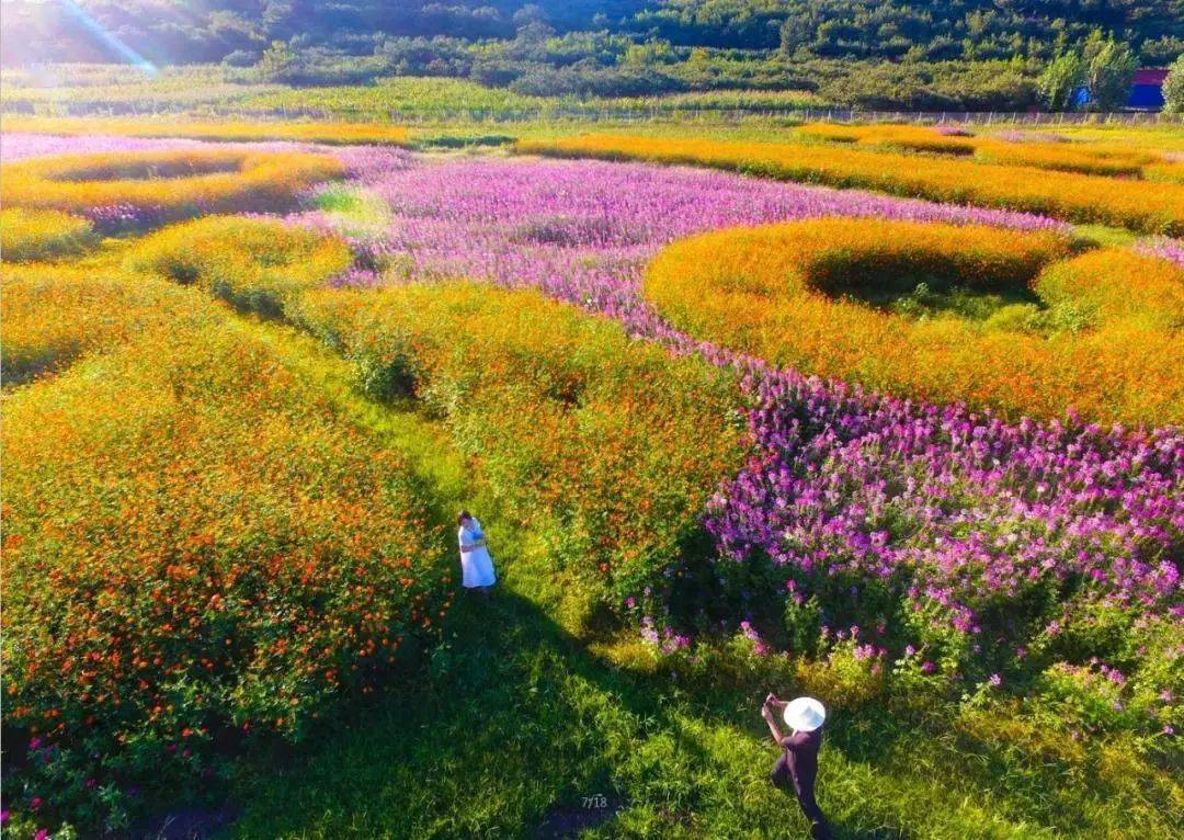 唐山市迁西县河北花乡果巷旅游景区