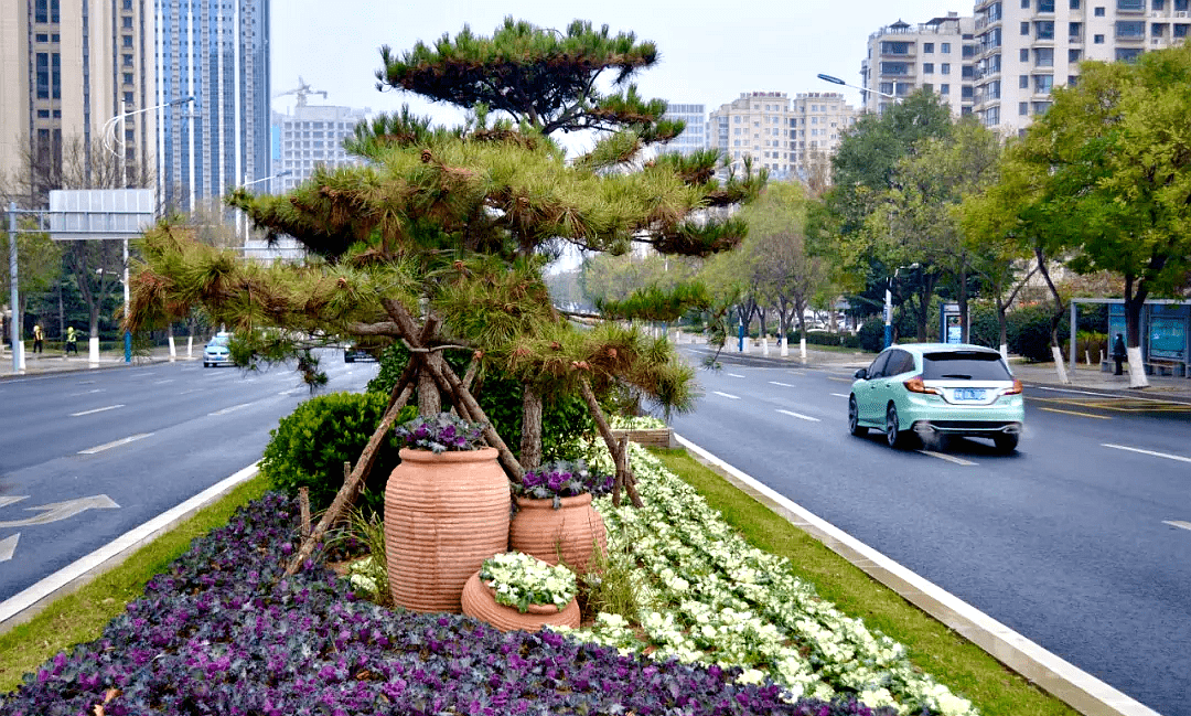 变废为景!威海市区道路绿化很"圈粉"