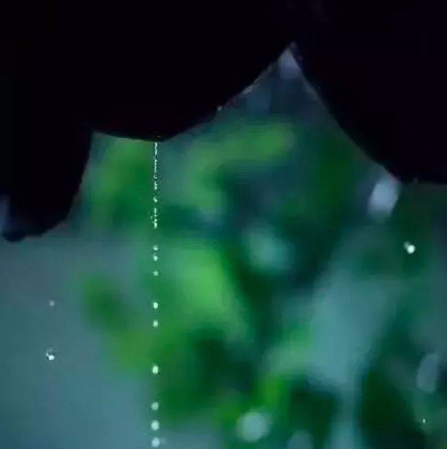 古琴曲《半山听雨》:一世荣华,不如半山听雨