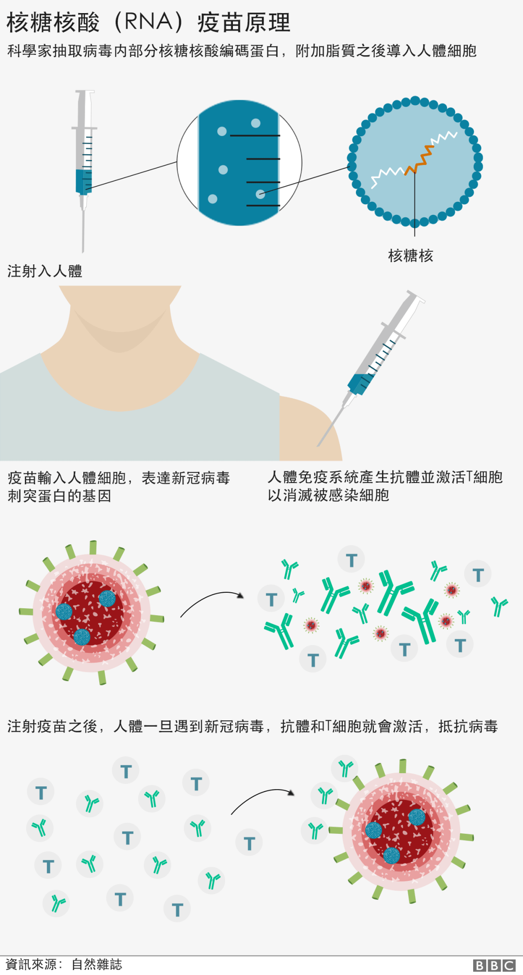 加拿大迎来人类历史上首支rna疫苗,这项堪比人类